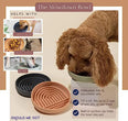 Anti-Slip Slow Food Bowl for Cats & Puppies