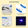 LED Dog Collar with USB Charging & 3 Light Modes