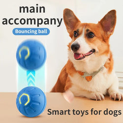 Smart USB Dog Toy Ball with Automatic Movement