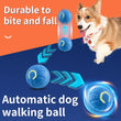 Smart USB Dog Toy Ball with Automatic Movement