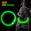 LED Dog Collar with USB Charging & 3 Light Modes