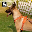 TRUE LOVE No Pull Reflective Dog Harness, Adjustable