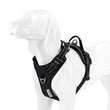 TRUE LOVE No Pull Reflective Dog Harness, Adjustable