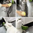 Cat Scratcher & Grooming Brush Combo